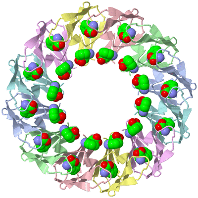 Image Biological Unit 1