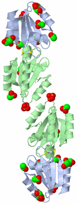 Image Biological Unit 1