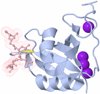 Image Biological Unit 1