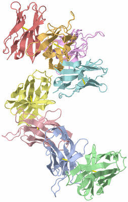 Image Asymmetric Unit