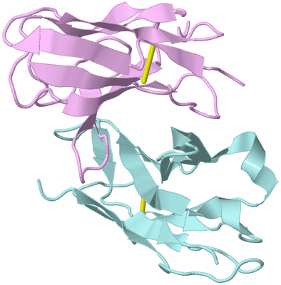 Image Biological Unit 3