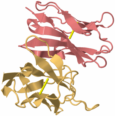 Image Biological Unit 4