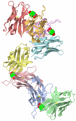 Image Asymmetric Unit
