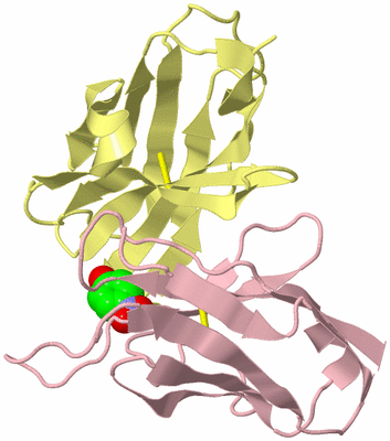 Image Biological Unit 2