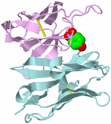 Image Biological Unit 3