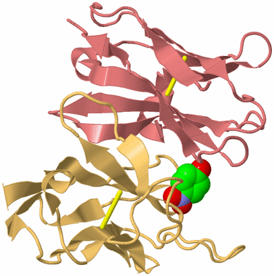Image Biological Unit 4