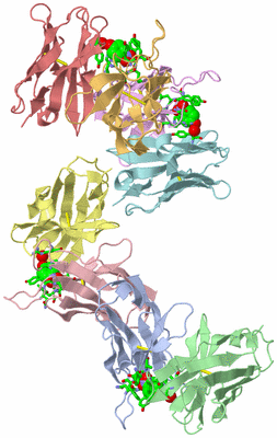 Image Asym. Unit - sites