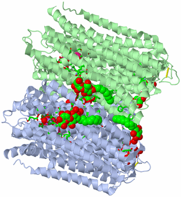 Image Asym./Biol. Unit - sites