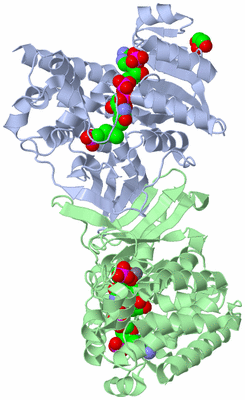 Image Asym./Biol. Unit