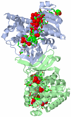 Image Asym./Biol. Unit - sites