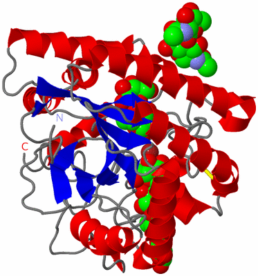 Image Asym./Biol. Unit