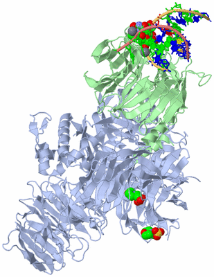 Image Asym./Biol. Unit