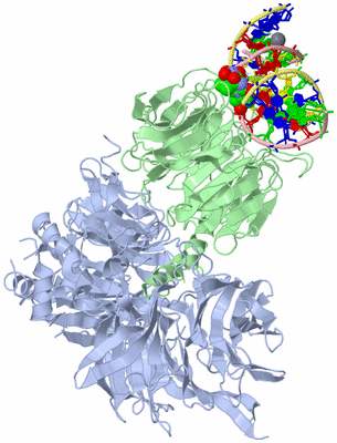 Image Asym./Biol. Unit