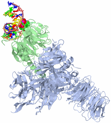 Image Biological Unit 1