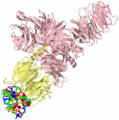 Image Biological Unit 2