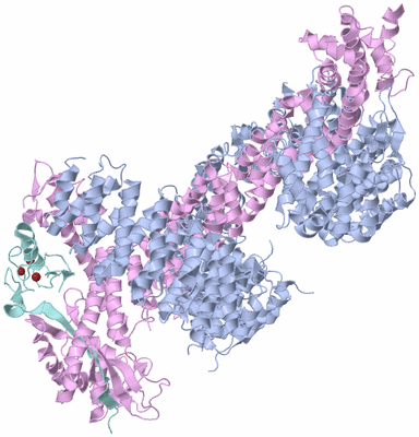 Image Biological Unit 1