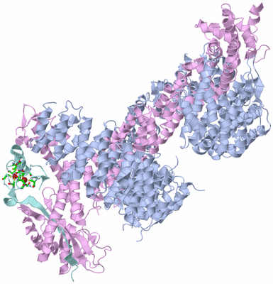 Image Biol. Unit 1 - sites