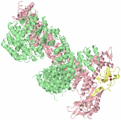 Image Biological Unit 2