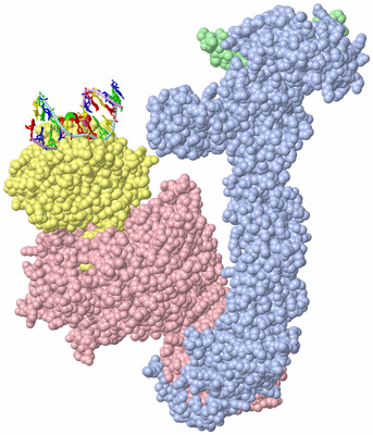 Image Asym./Biol. Unit