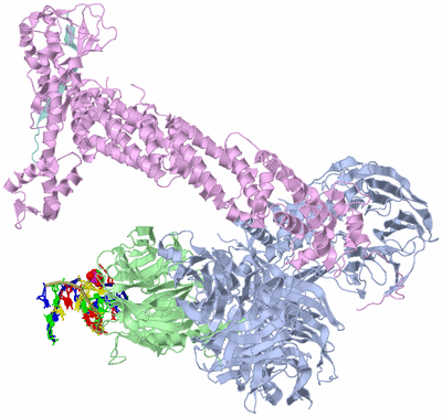 Image Biological Unit 1