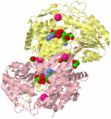 Image Biological Unit 1