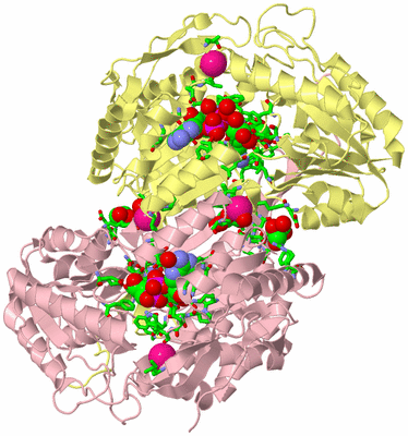 Image Biol. Unit 1 - sites