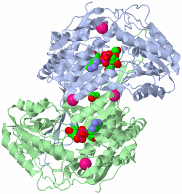 Image Biological Unit 2