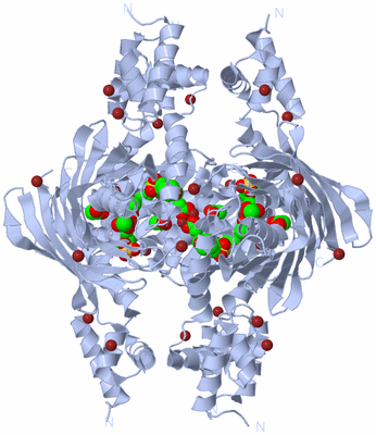 Image Biological Unit 1