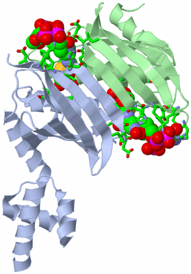 Image Asym./Biol. Unit - sites