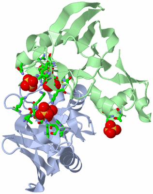 Image Asym./Biol. Unit - sites