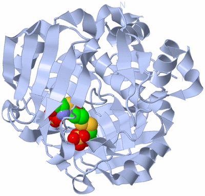 Image Biological Unit 1