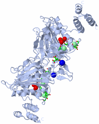 Image Biol. Unit 1 - sites