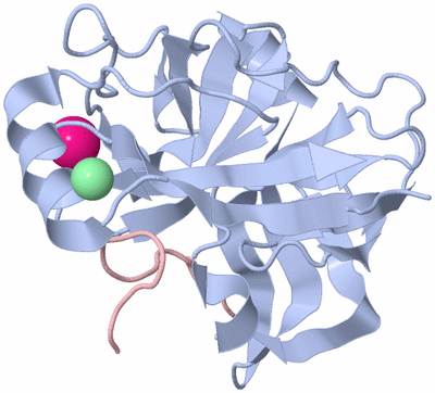 Image Biological Unit 2