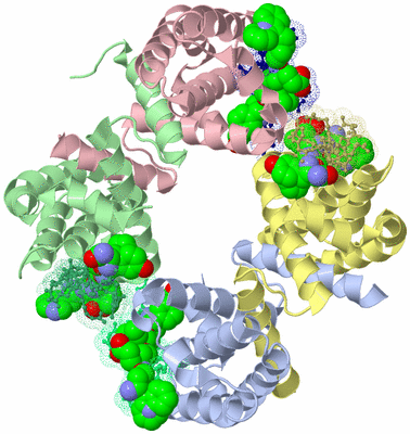 Image Asymmetric Unit