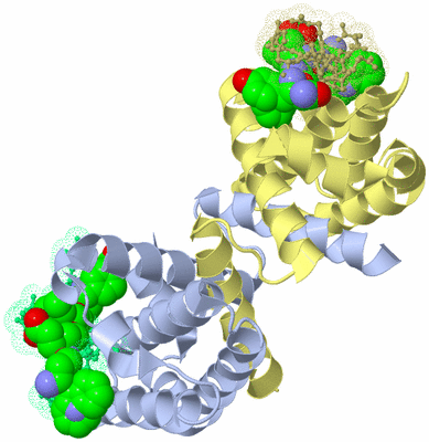Image Biological Unit 1
