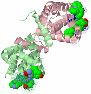 Image Biological Unit 2