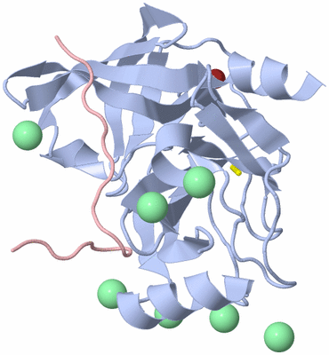 Image Biological Unit 1