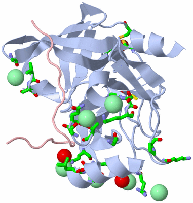 Image Biol. Unit 1 - sites