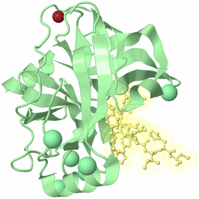 Image Biological Unit 2