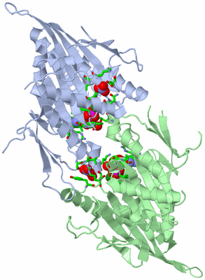 Image Asym./Biol. Unit - sites