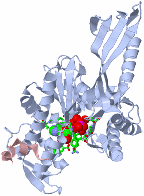 Image Biol. Unit 1 - sites