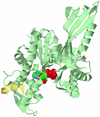 Image Biological Unit 2