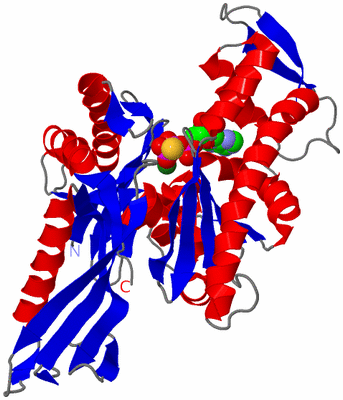 Image Asym./Biol. Unit