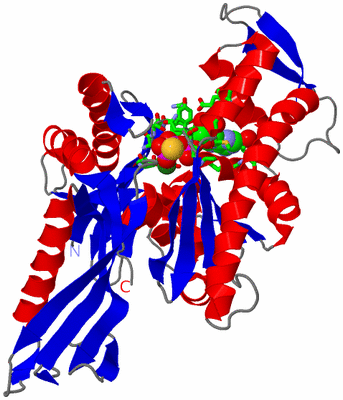 Image Asym./Biol. Unit - sites