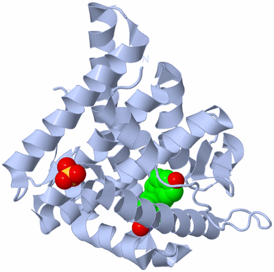 Image Biological Unit 1