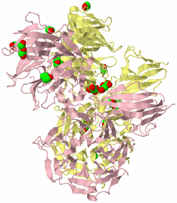 Image Biological Unit 2