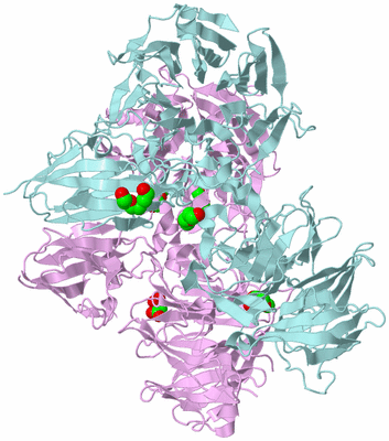 Image Biological Unit 3