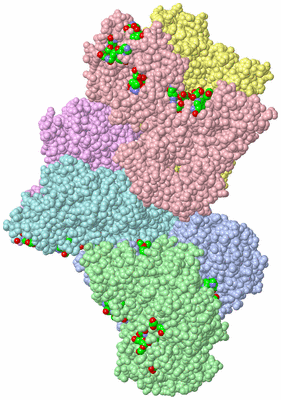 Image Asym. Unit - sites