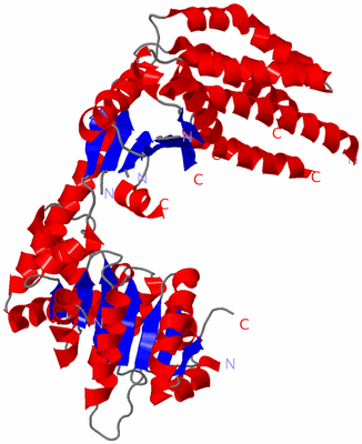 Image Asym./Biol. Unit