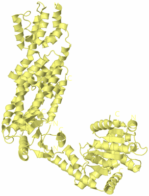 Image Biological Unit 3